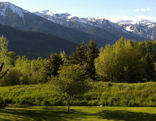 Teton View Bed And Breakfast Wilson Buitenkant foto
